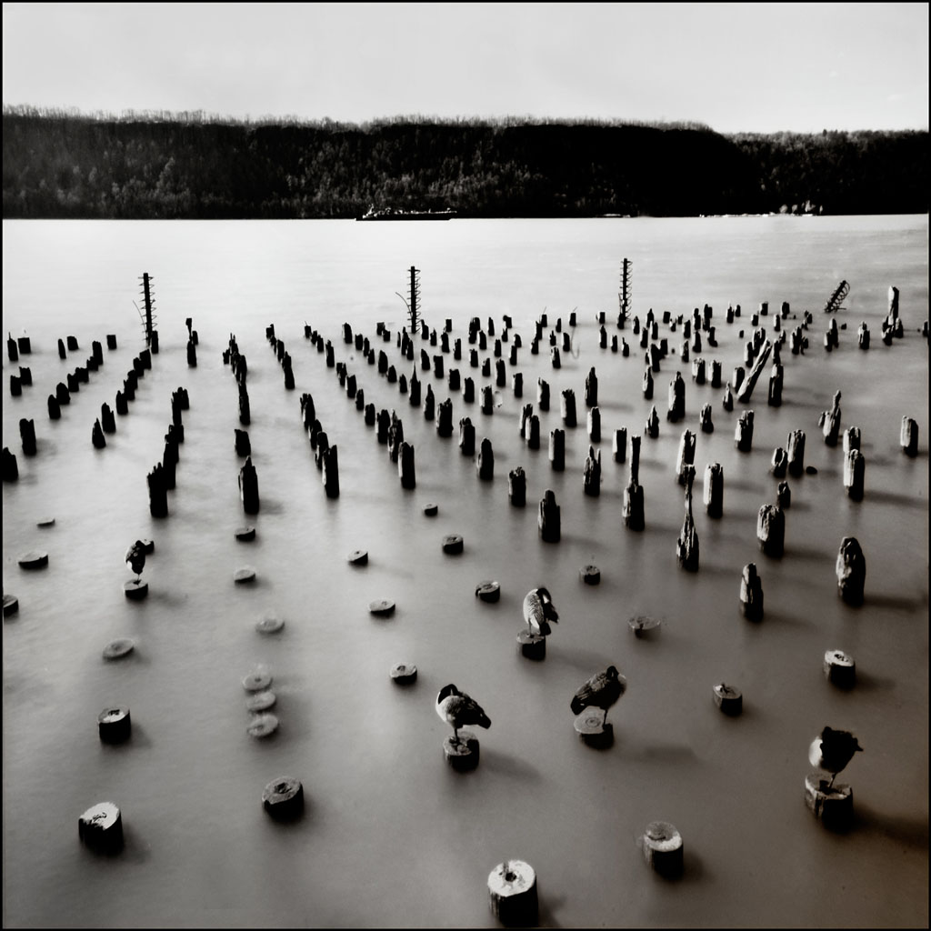 Sun bathing To Dani Gama